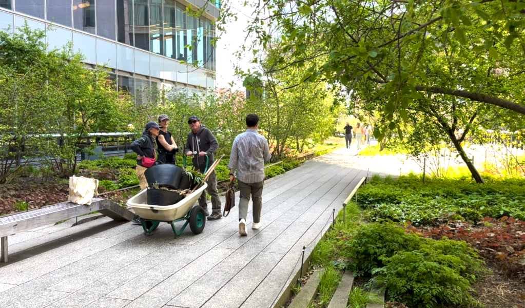 Park volunteers drag wheelbarrow along the High Line, as part of the spring trimming